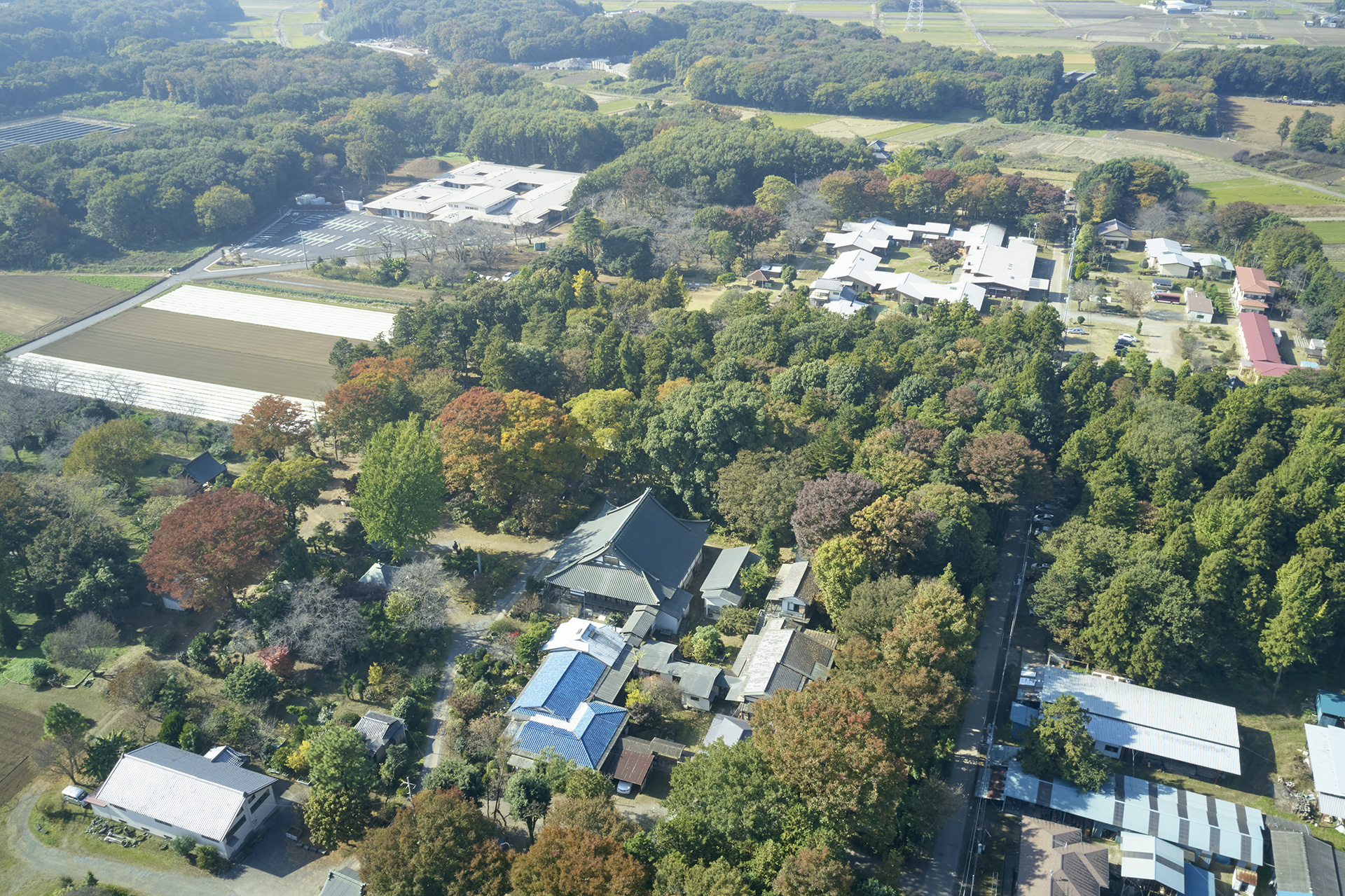 緑に囲まれた慈光学園の施設全景